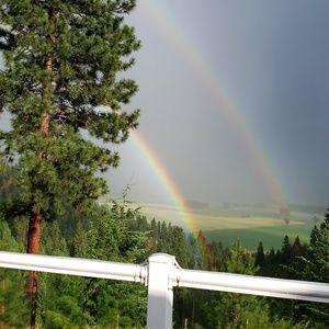 Meet your Posher, Daniela